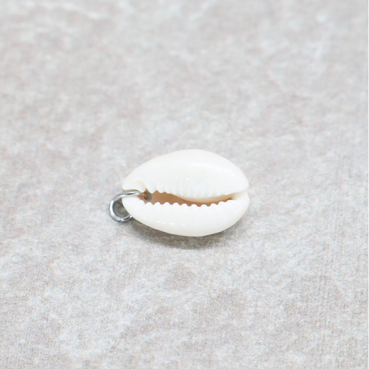 Bedel | Overig | Beach shell | Wit | Zilver