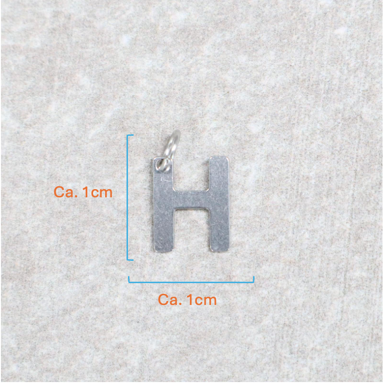 Bedel | Roestvrijstaal | Letter H | Zilver