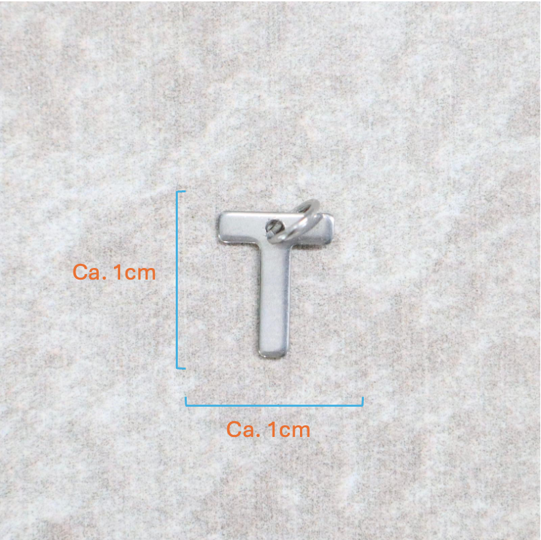 Bedel | Roestvrijstaal | Letter T | Zilver