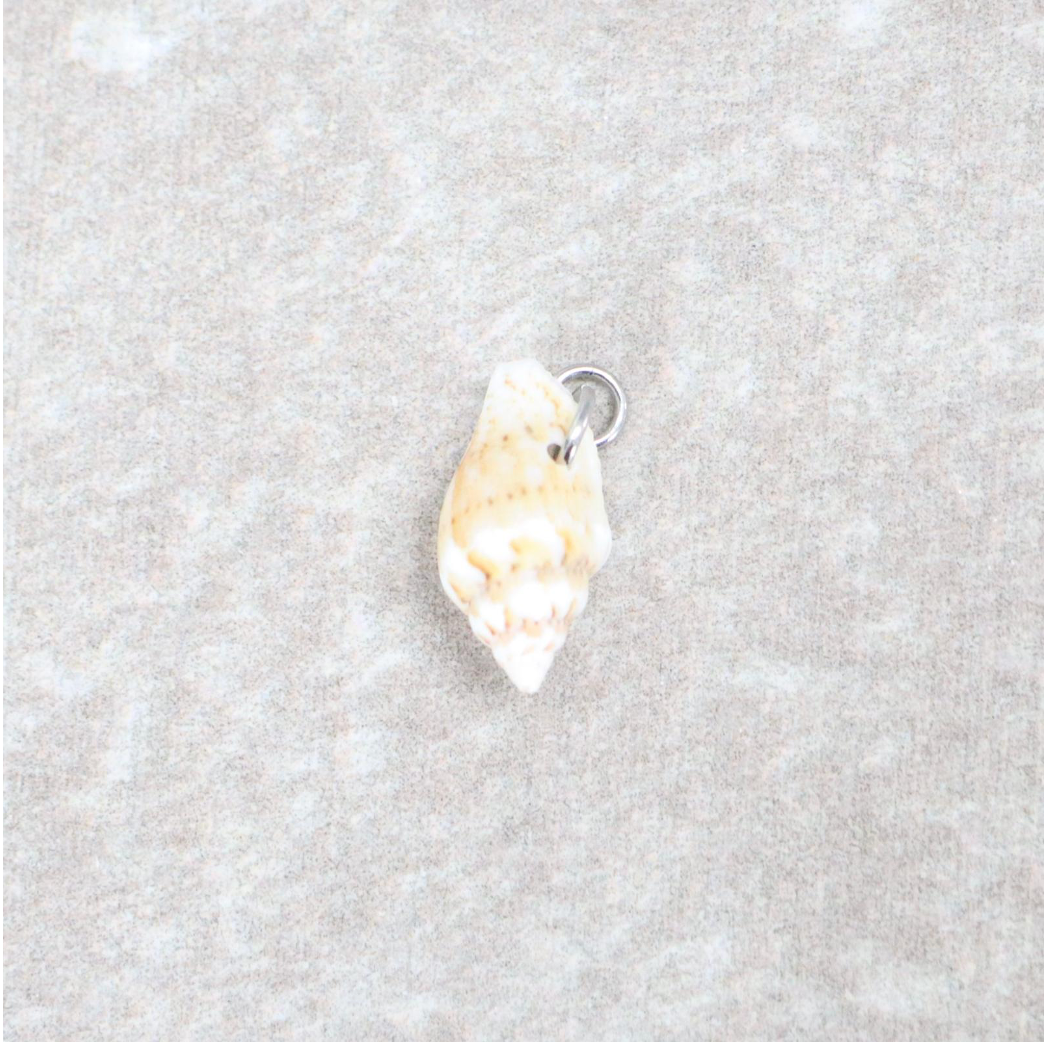 Bedel | Overig | Seashell treasure | Wit | Zilver