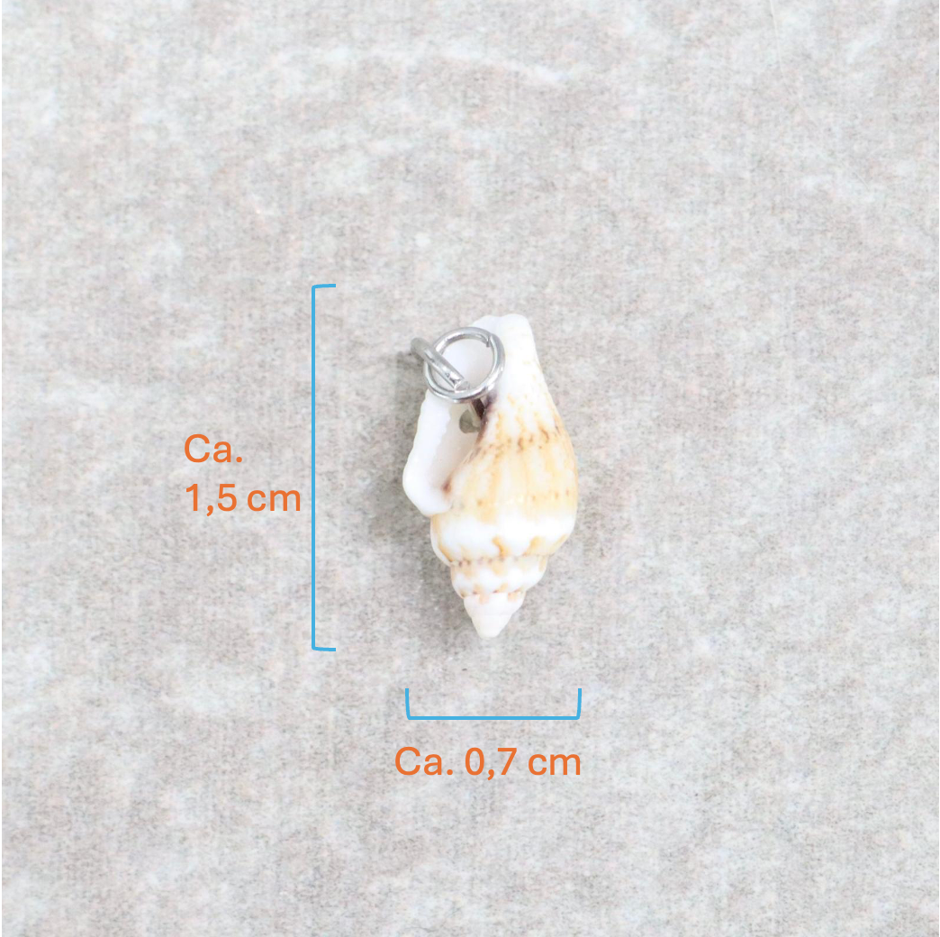 Bedel | Overig | Seashell treasure | Wit | Zilver