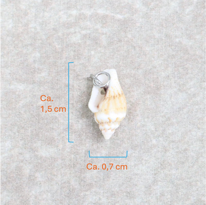 Bedel | Overig | Seashell treasure | Wit | Zilver