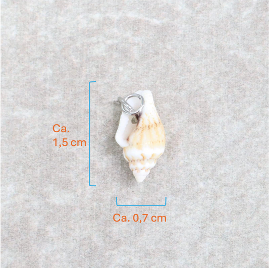 Bedel | Overig | Seashell treasure | Wit | Zilver