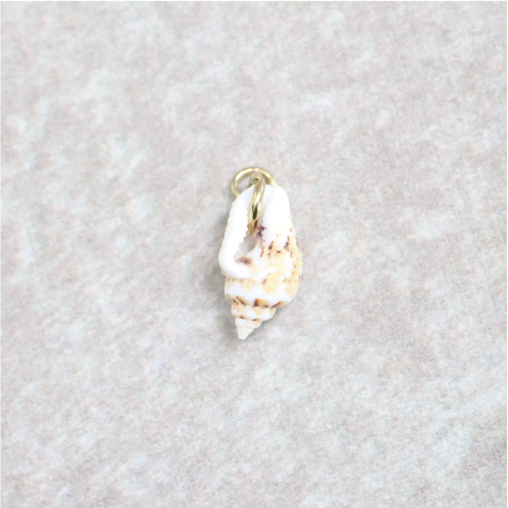Bedel | Overig | Seashell treasure | Wit | Goud