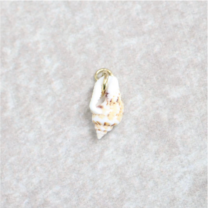 Bedel | Overig | Seashell treasure | Wit | Goud