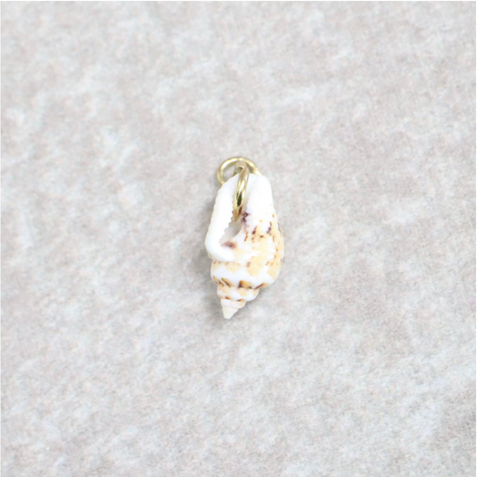 Bedel | Overig | Seashell treasure | Wit | Goud