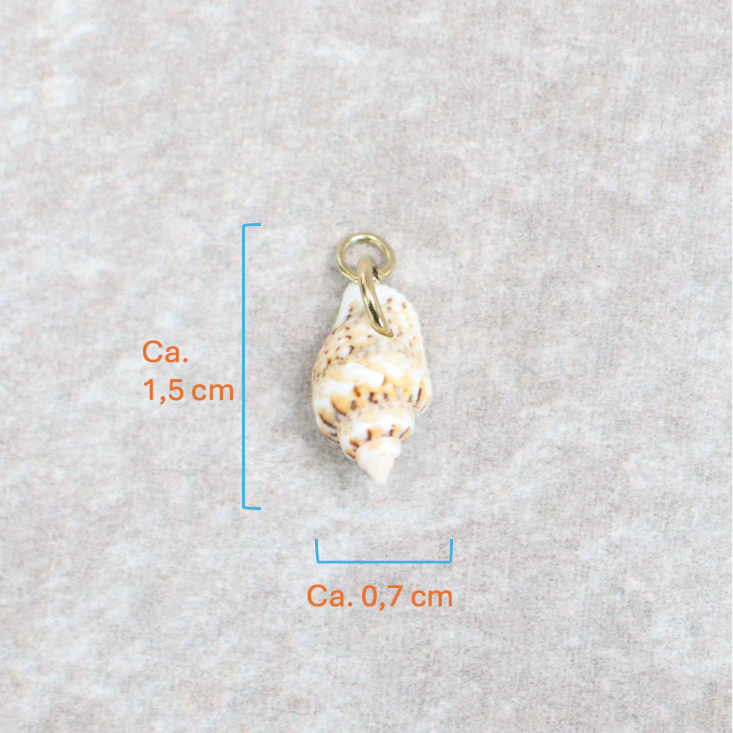 Bedel | Overig | Seashell treasure | Wit | Goud