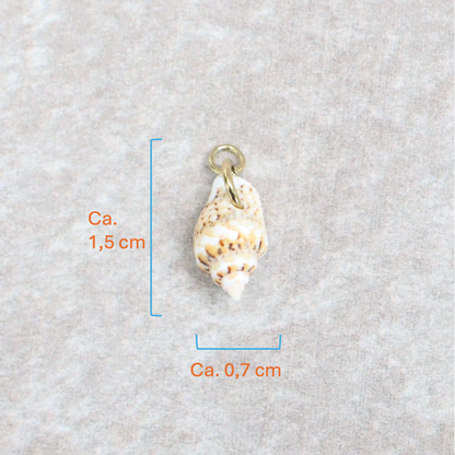 Bedel | Overig | Seashell treasure | Wit | Goud
