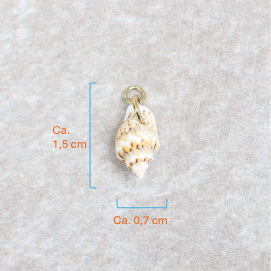 Bedel | Overig | Seashell treasure | Wit | Goud