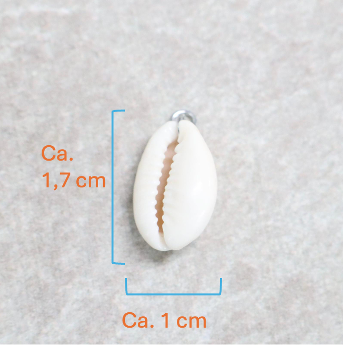 Bedel | Overig | Beach shell | Wit | Zilver