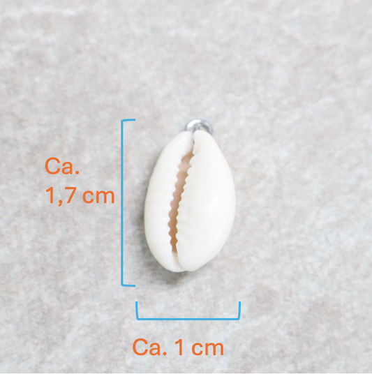 Bedel | Overig | Beach shell | Wit | Zilver