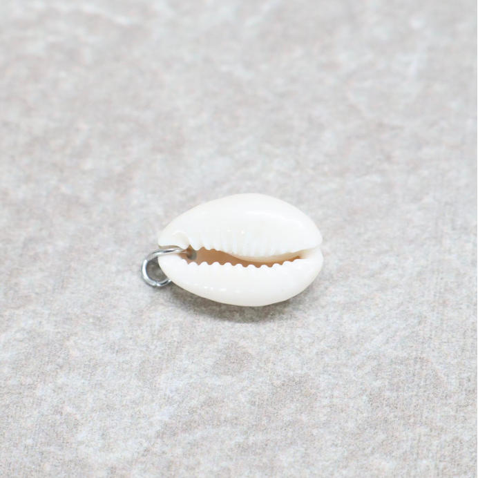 Bedel | Overig | Beach shell | Wit | Zilver