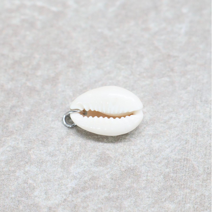 Bedel | Overig | Beach shell | Wit | Zilver