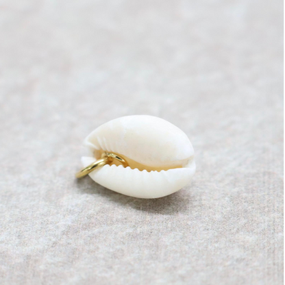 Bedel | Overig | Beach shell | Wit | Goud